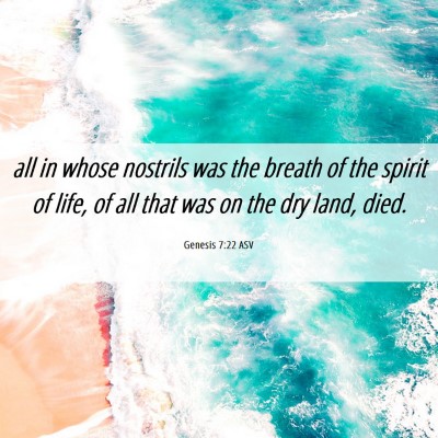 Picture 06 - Genesis 7:22 ASV - all in whose nostrils was the breath of the - Bible Verse Picture