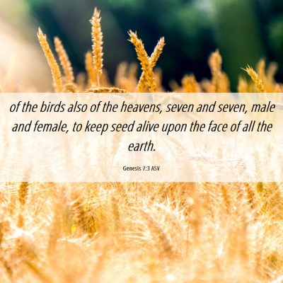 Picture 06 - Genesis 7:3 ASV - of the birds also of the heavens, seven and - Bible Verse Picture