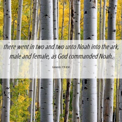 Picture 06 - Genesis 7:9 ASV - there went in two and two unto Noah into the ark, - Bible Verse Picture
