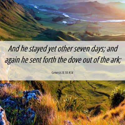 Picture 06 - Genesis 8:10 ASV - And he stayed yet other seven days; and again he - Bible Verse Picture