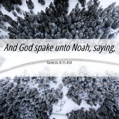 Picture 06 - Genesis 8:15 ASV - And God spake unto Noah, - Bible Verse Picture