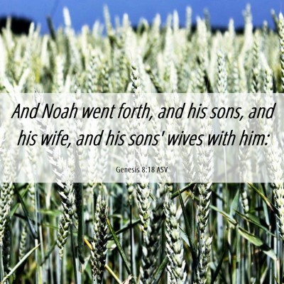 Picture 06 - Genesis 8:18 ASV - And Noah went forth, and his sons, and his wife, - Bible Verse Picture