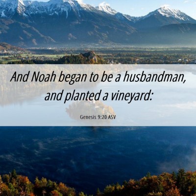 Picture 06 - Genesis 9:20 ASV - And Noah began to be a husbandman, and planted a - Bible Verse Picture