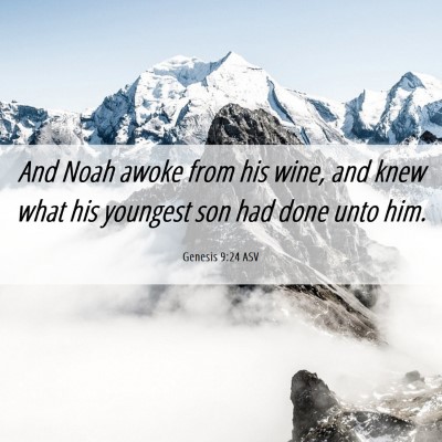 Picture 06 - Genesis 9:24 ASV - And Noah awoke from his wine, and knew what his - Bible Verse Picture