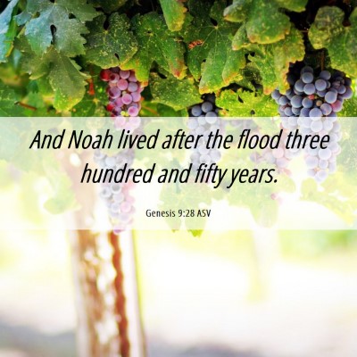 Picture 06 - Genesis 9:28 ASV - And Noah lived after the flood three hundred and - Bible Verse Picture