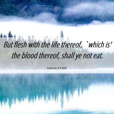 Picture 06 - Genesis 9:4 ASV - But flesh with the life thereof, `which is' the - Bible Verse Picture