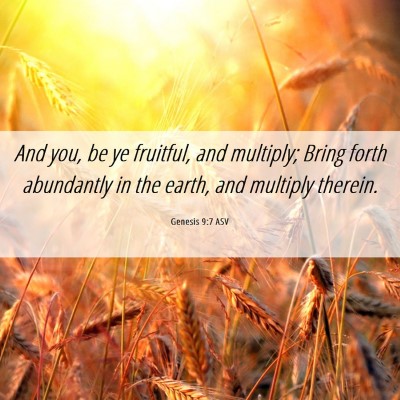 Picture 06 - Genesis 9:7 ASV - And you, be ye fruitful, and multiply; Bring - Bible Verse Picture