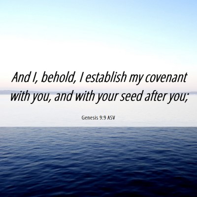 Picture 06 - Genesis 9:9 ASV - And I, behold, I establish my covenant with you, - Bible Verse Picture