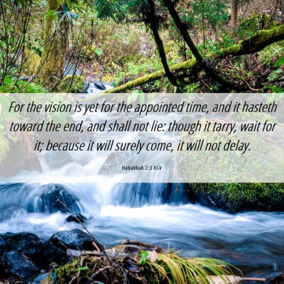 Picture 06 - Habakkuk 2:3 ASV - For the vision is yet for the appointed time, and - Bible Verse Picture