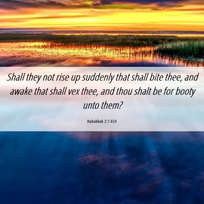 Picture 06 - Habakkuk 2:7 ASV - Shall they not rise up suddenly that shall bite - Bible Verse Picture