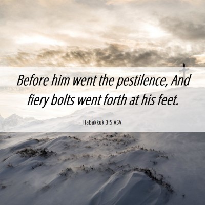 Picture 06 - Habakkuk 3:5 ASV - Before him went the pestilence, And fiery bolts - Bible Verse Picture
