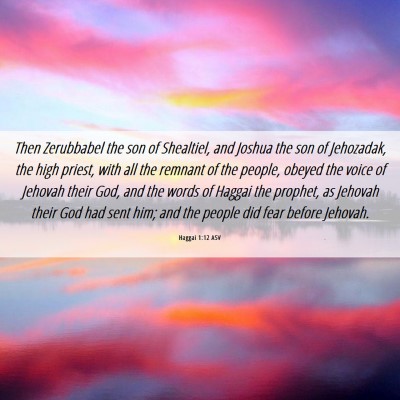 Picture 06 - Haggai 1:12 ASV - Then Zerubbabel the son of Shealtiel, and Joshua - Bible Verse Picture