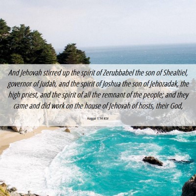 Picture 06 - Haggai 1:14 ASV - And Jehovah stirred up the spirit of Zerubbabel - Bible Verse Picture