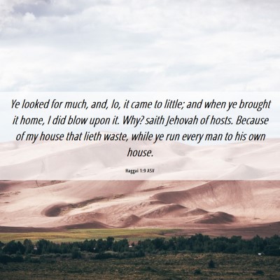 Picture 06 - Haggai 1:9 ASV - Ye looked for much, and, lo, it came to little; - Bible Verse Picture