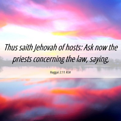 Picture 06 - Haggai 2:11 ASV - Thus saith Jehovah of hosts: Ask now the priests - Bible Verse Picture