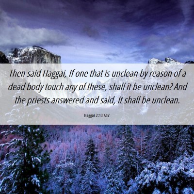 Picture 06 - Haggai 2:13 ASV - Then said Haggai, If one that is unclean by - Bible Verse Picture