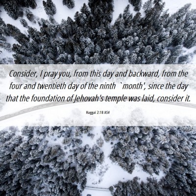 Picture 06 - Haggai 2:18 ASV - Consider, I pray you, from this day and backward, - Bible Verse Picture