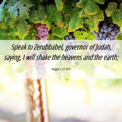 Picture 06 - Haggai 2:21 ASV - Speak to Zerubbabel, governor of Judah, saying, I - Bible Verse Picture