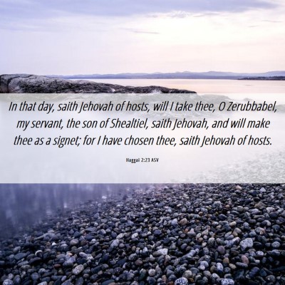 Picture 06 - Haggai 2:23 ASV - In that day, saith Jehovah of hosts, will I take - Bible Verse Picture