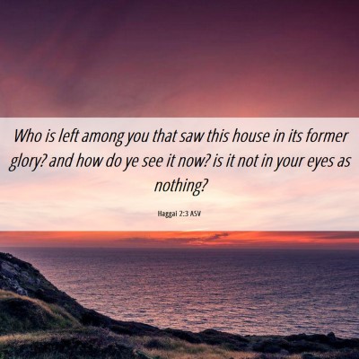 Picture 06 - Haggai 2:3 ASV - Who is left among you that saw this house in its - Bible Verse Picture
