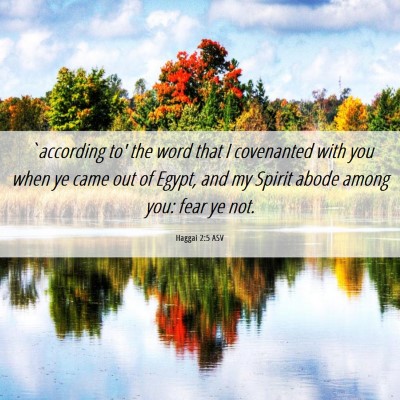 Picture 06 - Haggai 2:5 ASV - `according to' the word that I covenanted with - Bible Verse Picture
