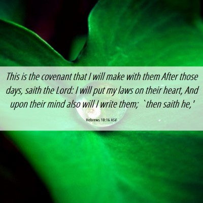 Picture 06 - Hebrews 10:16 ASV - This is the covenant that I will make with them - Bible Verse Picture