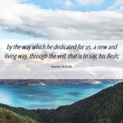 Picture 06 - Hebrews 10:20 ASV - by the way which he dedicated for us, a new and - Bible Verse Picture