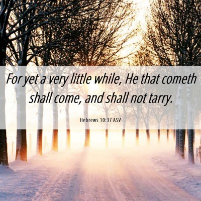 Picture 06 - Hebrews 10:37 ASV - For yet a very little while, He that cometh shall - Bible Verse Picture