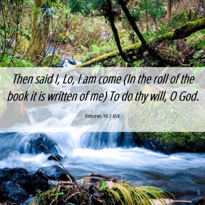 Picture 06 - Hebrews 10:7 ASV - Then said I, Lo, I am come (In the roll of the - Bible Verse Picture