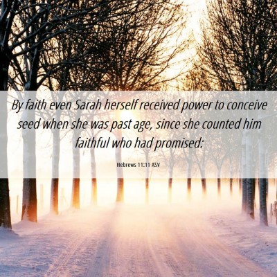 Picture 06 - Hebrews 11:11 ASV - By faith even Sarah herself received power to - Bible Verse Picture