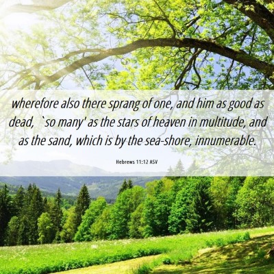 Picture 06 - Hebrews 11:12 ASV - wherefore also there sprang of one, and him as - Bible Verse Picture