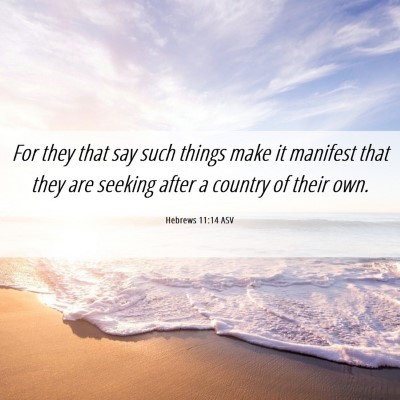 Picture 06 - Hebrews 11:14 ASV - For they that say such things make it manifest - Bible Verse Picture