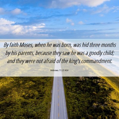 Picture 06 - Hebrews 11:23 ASV - By faith Moses, when he was born, was hid three - Bible Verse Picture