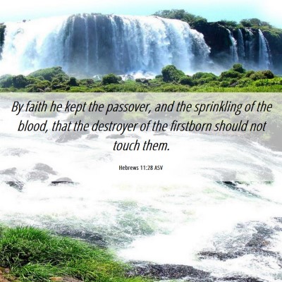 Picture 06 - Hebrews 11:28 ASV - By faith he kept the passover, and the sprinkling - Bible Verse Picture