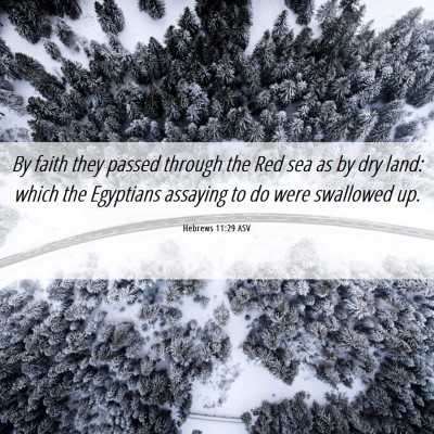 Picture 06 - Hebrews 11:29 ASV - By faith they passed through the Red sea as by - Bible Verse Picture