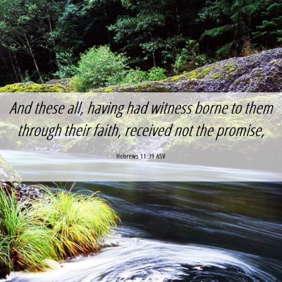 Picture 06 - Hebrews 11:39 ASV - And these all, having had witness borne to them - Bible Verse Picture