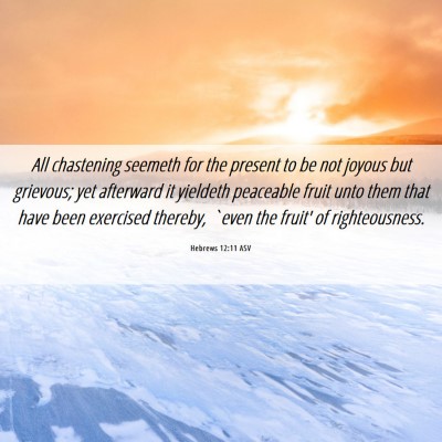 Picture 06 - Hebrews 12:11 ASV - All chastening seemeth for the present to be not - Bible Verse Picture