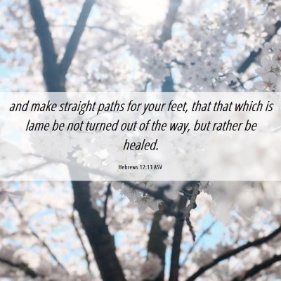 Picture 06 - Hebrews 12:13 ASV - and make straight paths for your feet, that that - Bible Verse Picture