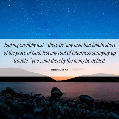 Picture 06 - Hebrews 12:15 ASV - looking carefully lest `there be' any man that - Bible Verse Picture