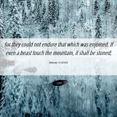 Picture 06 - Hebrews 12:20 ASV - for they could not endure that which was - Bible Verse Picture
