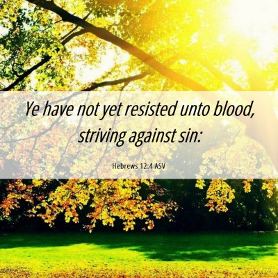 Picture 06 - Hebrews 12:4 ASV - Ye have not yet resisted unto blood, striving - Bible Verse Picture