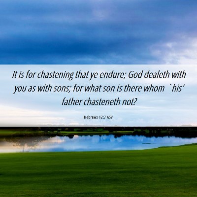 Picture 06 - Hebrews 12:7 ASV - It is for chastening that ye endure; God dealeth - Bible Verse Picture