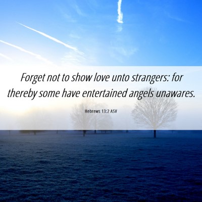 Picture 06 - Hebrews 13:2 ASV - Forget not to show love unto strangers: for - Bible Verse Picture