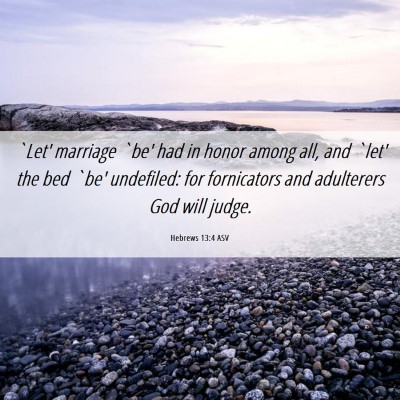 Picture 06 - Hebrews 13:4 ASV - `Let' marriage `be' had in honor among all, and - Bible Verse Picture