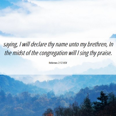 Picture 06 - Hebrews 2:12 ASV - saying, I will declare thy name unto my brethren, - Bible Verse Picture