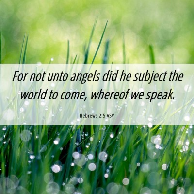 Picture 06 - Hebrews 2:5 ASV - For not unto angels did he subject the world to - Bible Verse Picture