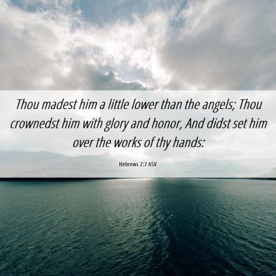 Picture 06 - Hebrews 2:7 ASV - Thou madest him a little lower than the angels; - Bible Verse Picture