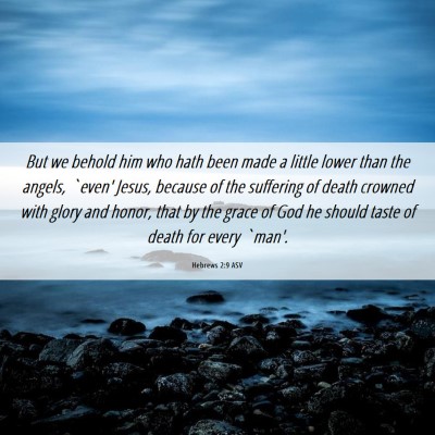 Picture 06 - Hebrews 2:9 ASV - But we behold him who hath been made a little - Bible Verse Picture