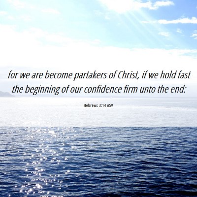 Picture 06 - Hebrews 3:14 ASV - for we are become partakers of Christ, if we hold - Bible Verse Picture