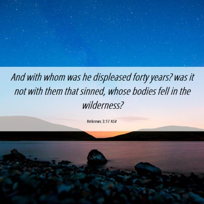 Picture 06 - Hebrews 3:17 ASV - And with whom was he displeased forty years? was - Bible Verse Picture